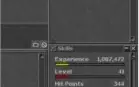 Tibia: Char Sorcerer 170 e Kina 114 na mesma conta