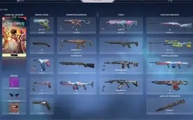 Conta Valorant butterfly + saqueadora + dima 2