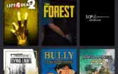 Conta steam 30 reais, 333 jogos, dono oeiginal