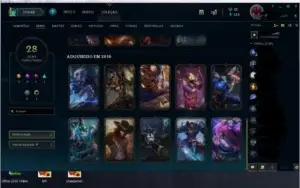 Conta lol LVL 113 com 101 Champions e 28 Skins(BordaPlatina)
