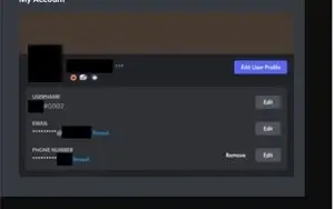 EARLY SUPPORTER DISCORD (PIG)