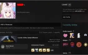Conta Steam com CS GO Level 19 GC Supremo