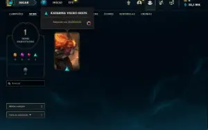 Conta Mestre com 23 Champs e 1 Skin + 14 Fragmentos de skins