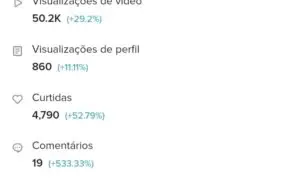 Perfil TikTok + de 500 Mil seguidores - Preço Baixo