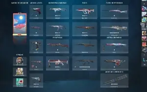 Conta Valorant Platina 2 Com Várias Skins
