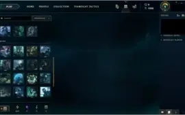 (CONTA PLATINA 1) 40 champs,10 skins e 16 spolios de skin