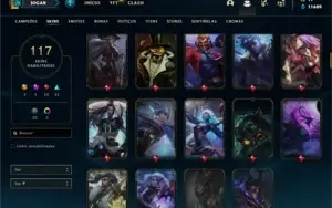Conta bronze 1 com TODOS os champs e 117 Skins (Nivel 489)