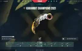 Conta valorant todos skin chapions e +
