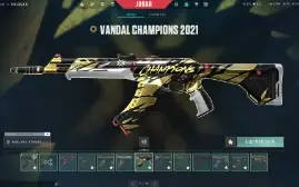 Conta valorant todos skin chapions e +