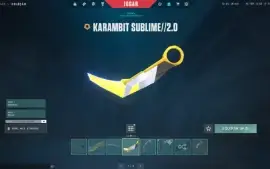Conta Valorant Ascedente| Skin Karambit Champions 2021