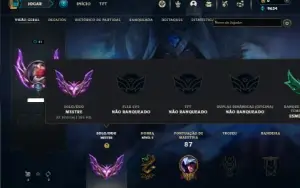 Mestre com 25 Champs e 10 Skins ( 165 PDL )