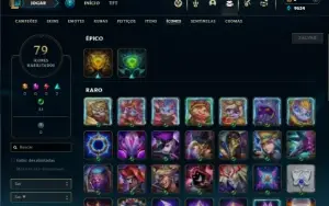 Mestre com 25 Champs e 10 Skins ( 165 PDL )