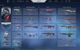 Conta de Valorant D2 +1k gasto em skins