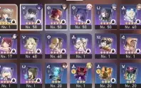 Seele - Jing Yuan + Cone - Bronya -  AR 40
