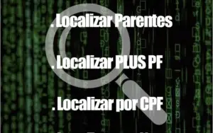 Localizador de Dados