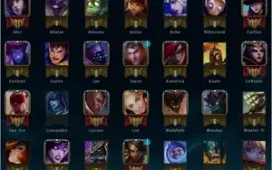 Conta d2
