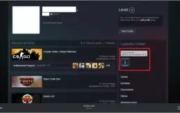 conta steam de 2012 csgo sem prime e level 17 na gc