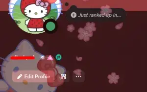 Conta Discord 2016 22 Julho Hellokitty  C/ Pomelo