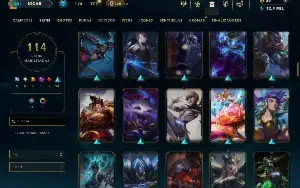 Unranked com 150 Champs e 114 Skins ( SUP / TOP )