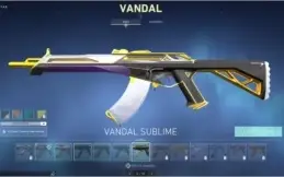 Conta Valorant várias skins