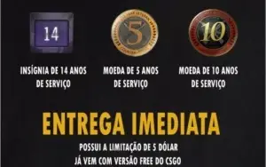 CONTA STEAM MEDALHAS CSGO DE 5/10 ANOS DE SERVIÇO