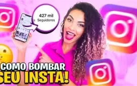 SEGUIDORES REAIS E ATIVOS ORGÂNICOS