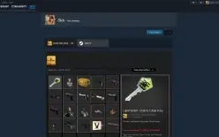 Conta de csgo com prime + skins