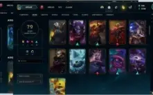 Conta platina 1, com mais de 100 champs