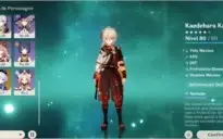 Ganyu + Baal + Childe + Kazuha + Diluc c1 + Qiqi + armas