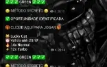 Robô Lucky Cat ( Fortune Cat Tigresa) Vip