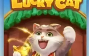 Robô Lucky Cat ( Fortune Cat Tigresa) Vip