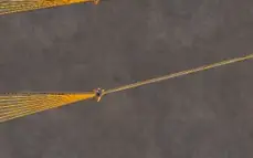 conta de Albion online > equipamento e arma t8  200+ de fama