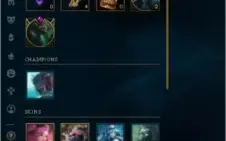 Conta platina 2, 58%w