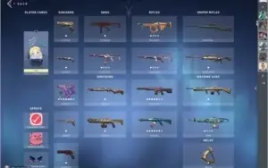CONTA VALORANT COM VARIAS SKINS PLATINA 2