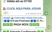 🐯Robo Trigre Fortune🐯