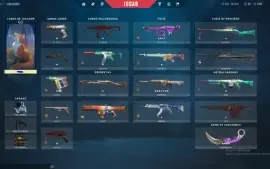 Conta Full Acesso Com Vandal E Karambit !