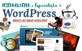 Curso Desenvolvedor & Especialista Wordpress 2017