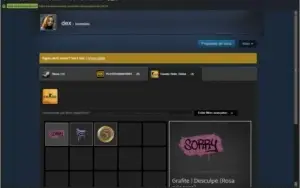 Conta Steam LVL 20 18 jogos (PUBG, CSGO (medalha 5 anos),R6)