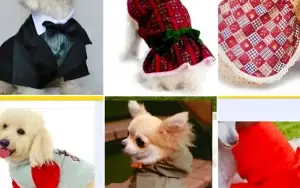 Kit 80 Moldes Roupas Pet Cães E Gatos + Modelagem Cirúrgica