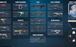 Conta Ex Radiante 1.4k gastos
