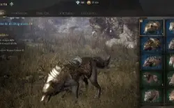 conta night crows visual de arma epica aqueiro lvl 41