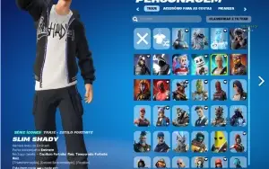 Conta de Fortnite PC Elite com muitas skins e passe