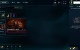 Conta League of Legends - nível 28