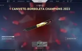 Conta Valorant Platina pacote champions 2022 e 579 gastos