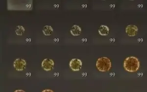 200 milhões de Runas R$10