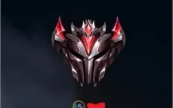 COACH LOL JG/TOP (MESTRE 50 PDL)