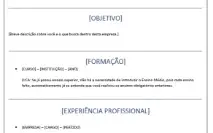 Modelo de Currículo Profissional Editável no Word