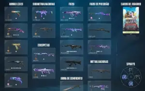 conta valorant . com 13 skins de loja e um passe 