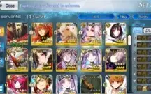 Fgo 8 5* e 16 4*
