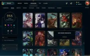 CONTA RARA 255 SKins unico dono